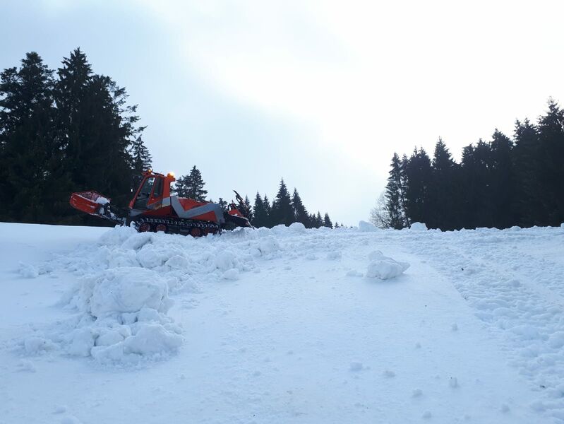 Datei:2019 Schneeschieben.jpg